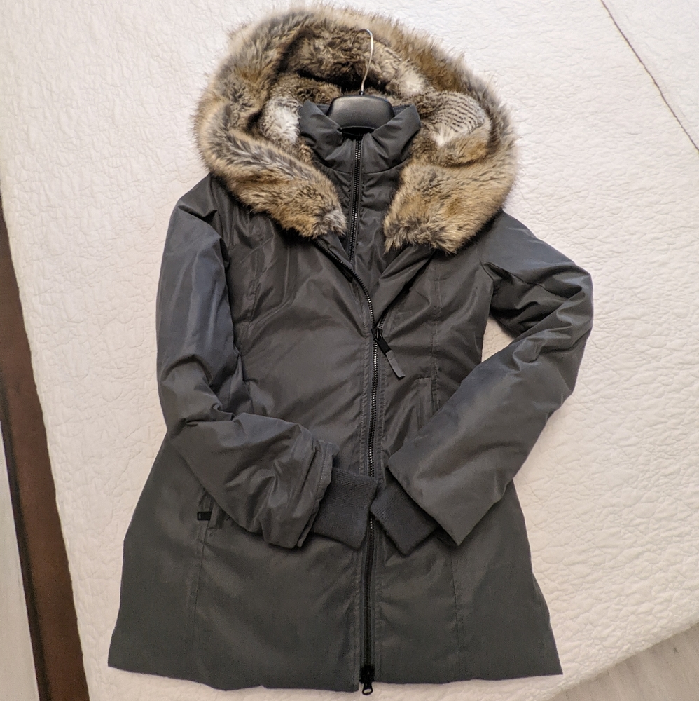 Aritzia babaton chamonix parka